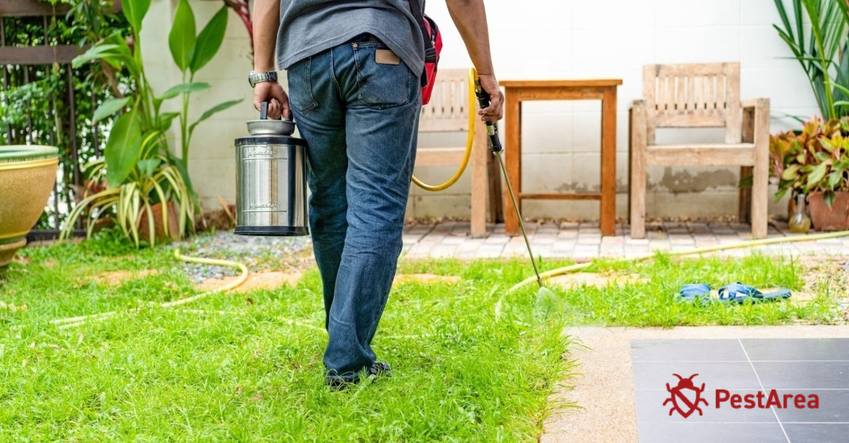 Pest control technician working on outside premises to prevent infestation from neighbour's garden