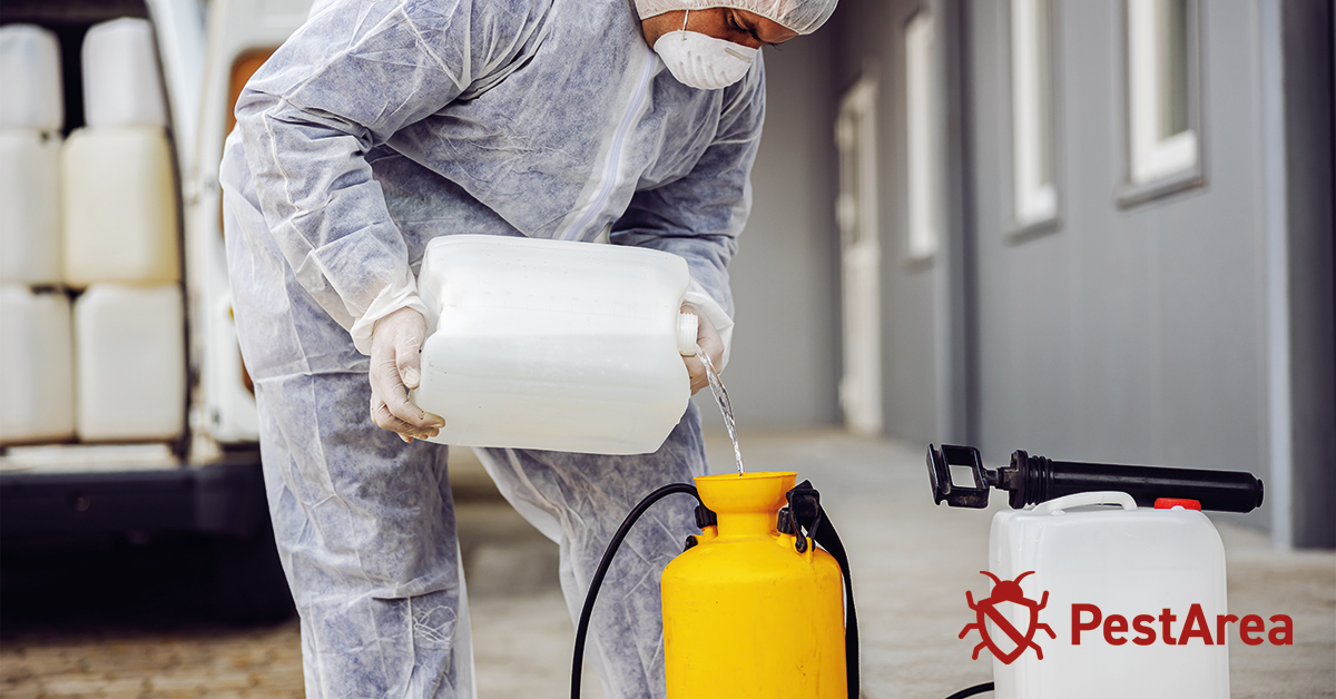 Pest control expert pouring ammonia