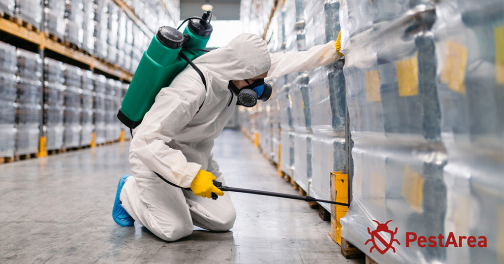 pest control technician using boric acid to get rid of cokroaches