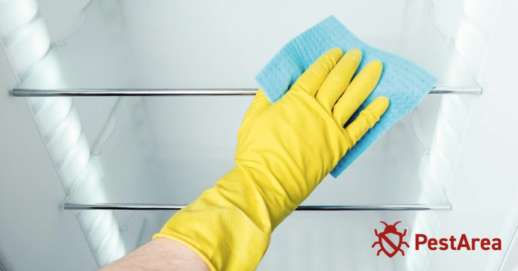 Hand cleaning a Fridge