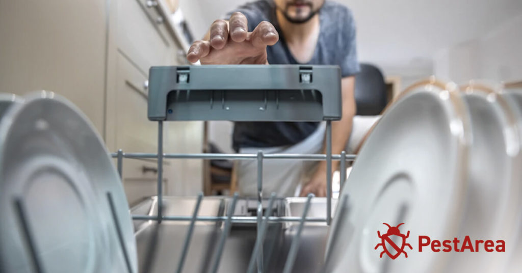 Man trying to empty an infested dishwasher from cockroaches