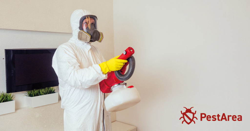 Pest Control Specialist spraying smell repellent