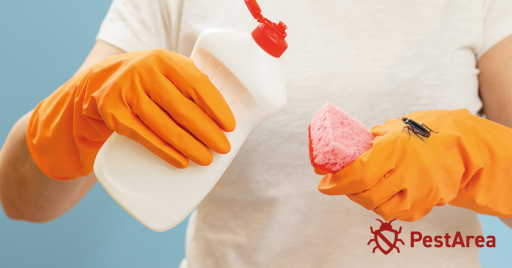 Man handling cleaning liquid as fabuloso